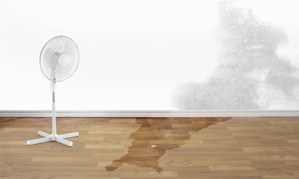 Best Sewage cleanup and water damage restoration  in Weimar, TX