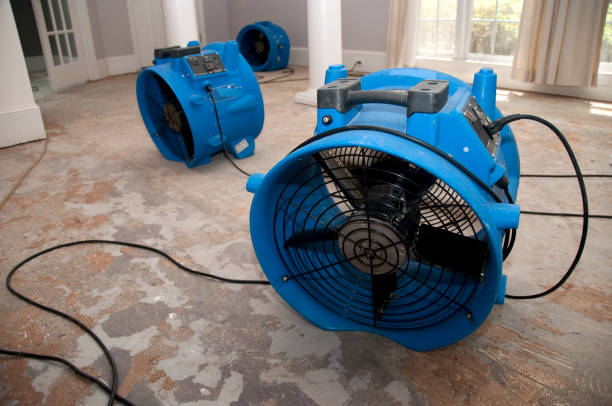 Best Water damage cleanup near me  in Weimar, TX